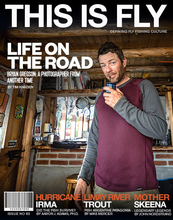 THIS IS FLY MAGAZINE ISSUE 65 – This is Fly