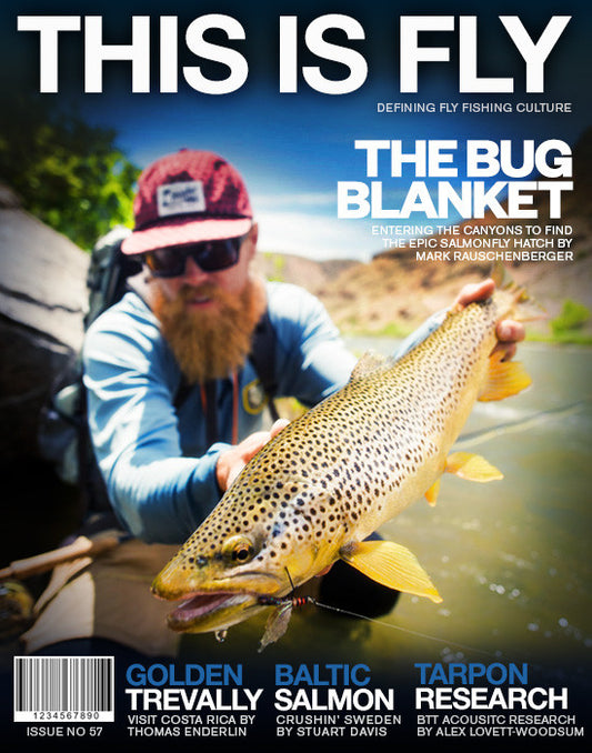 THIS IS FLY MAGAZINE ISSUE 57